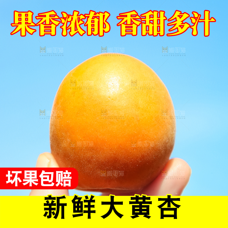 手里拿着黄杏
