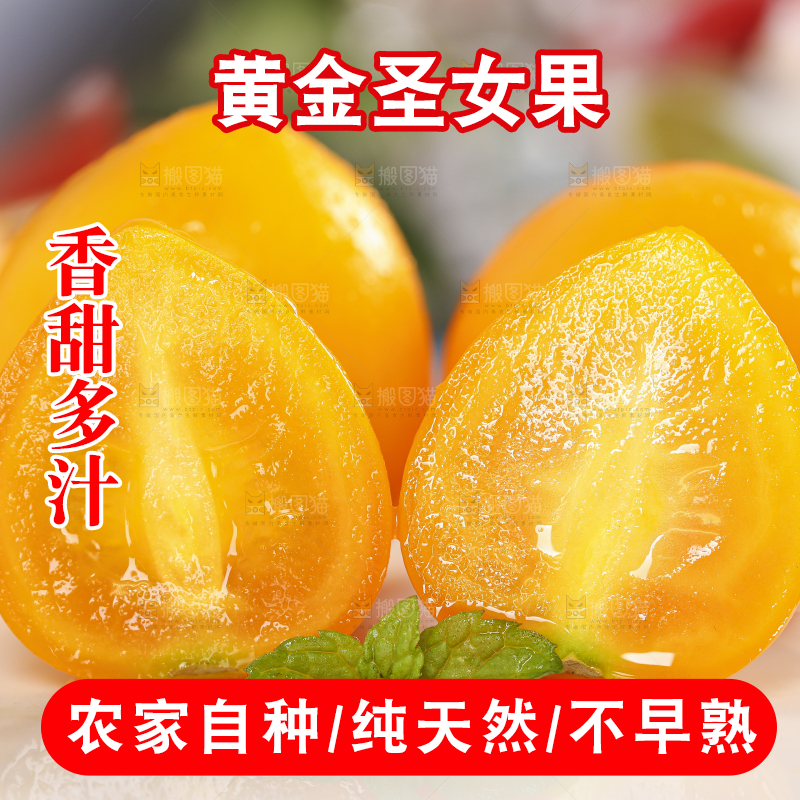 白底上摆放着山东黄金小番茄