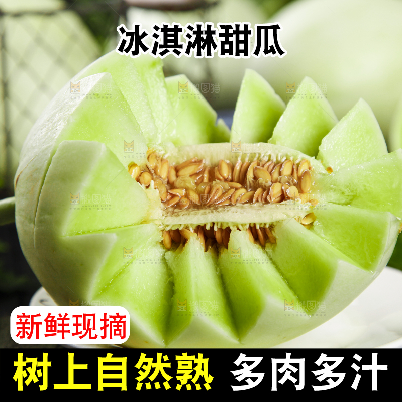 黑底上摆放着山东玉菇甜瓜