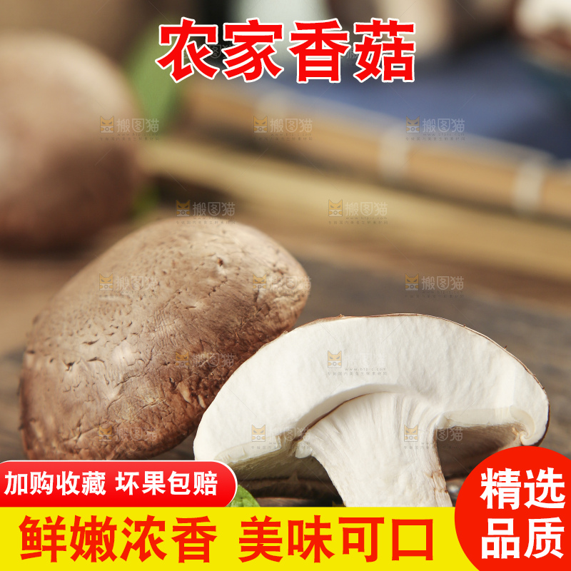 木底上摆放着湖北香菇
