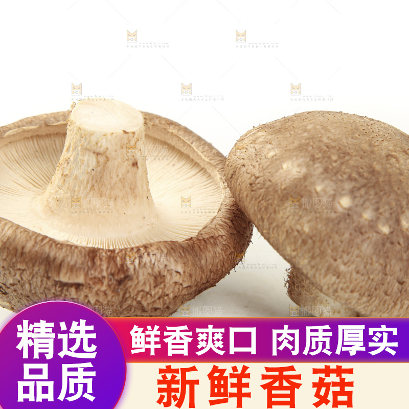 白底上放着香菇