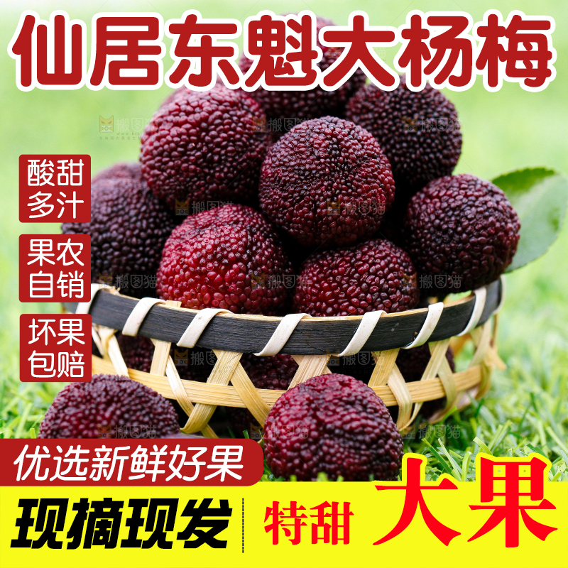 篮子里装着杨梅