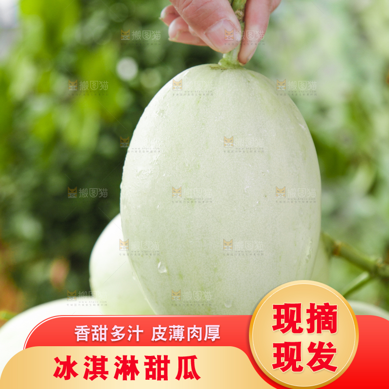 手里拿着玉菇香瓜