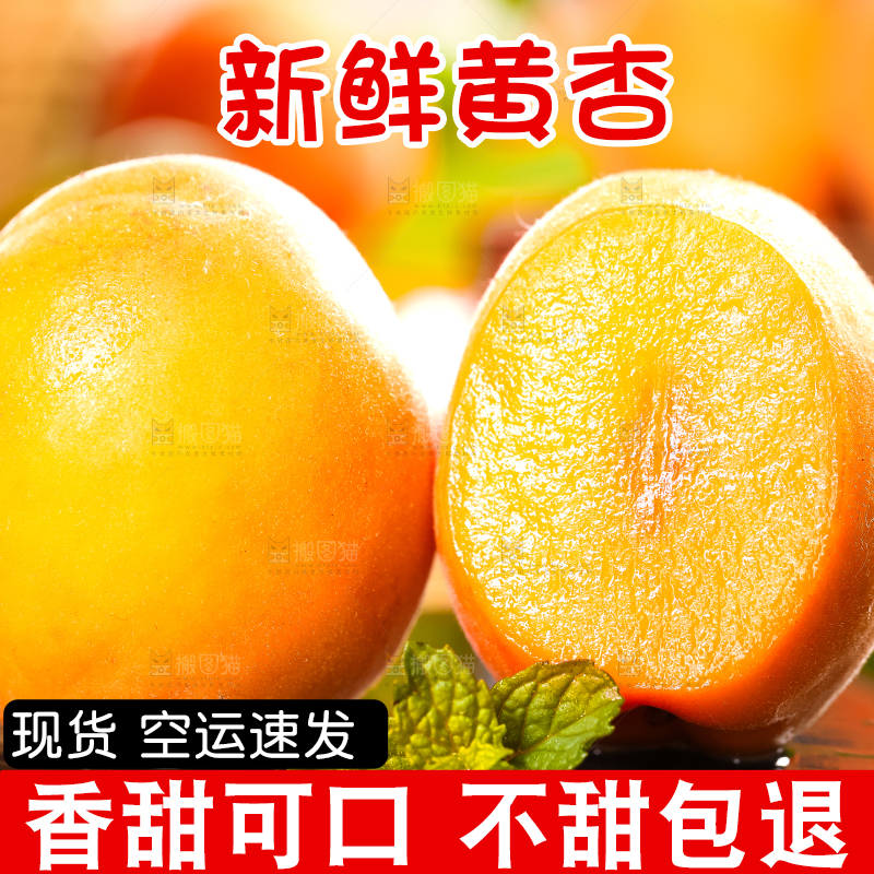 黑底上放着黄杏