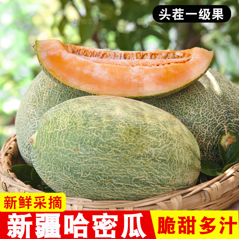 手里端着一篮网纹瓜