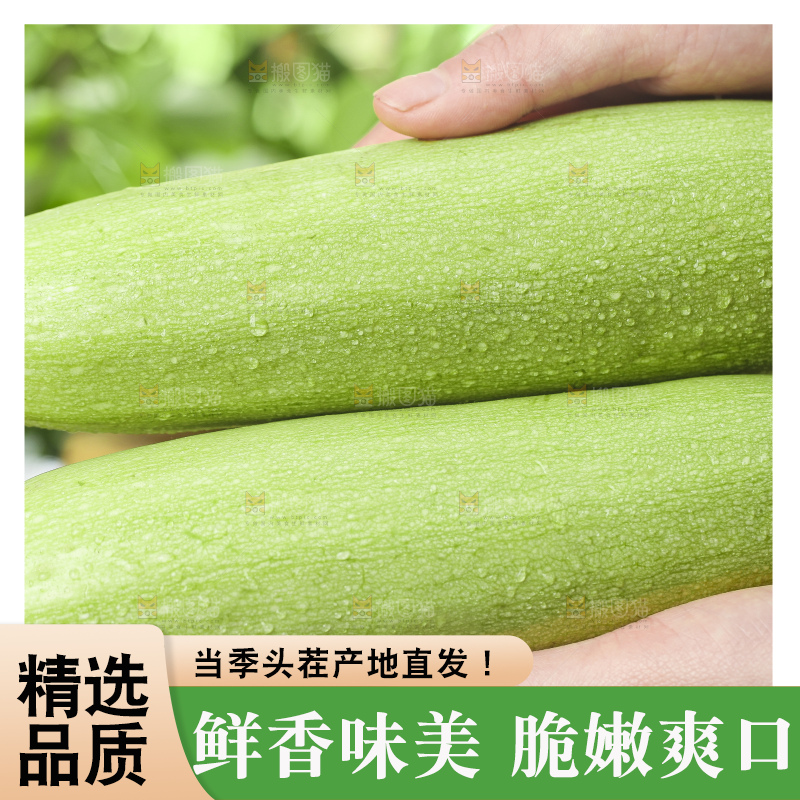 手里拿着茭瓜
