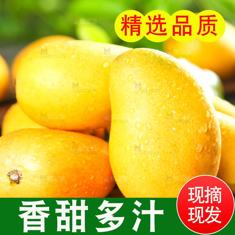 木底上放着上小台芒