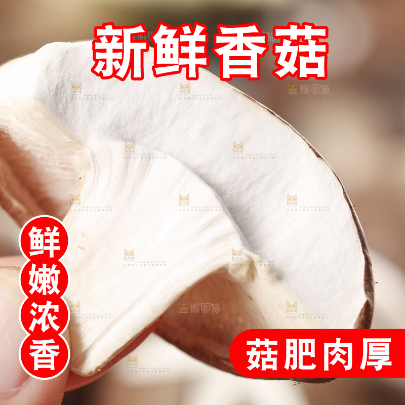 手里拿着菌菇