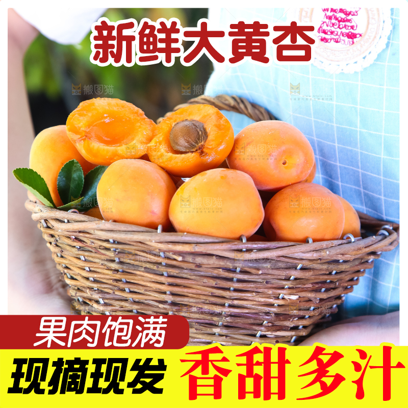 手里提着一篮烟台杏子