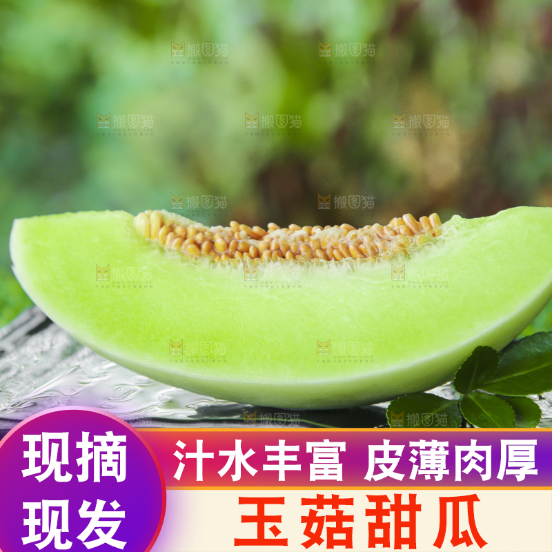 绿草地上放着一玉菇甜瓜