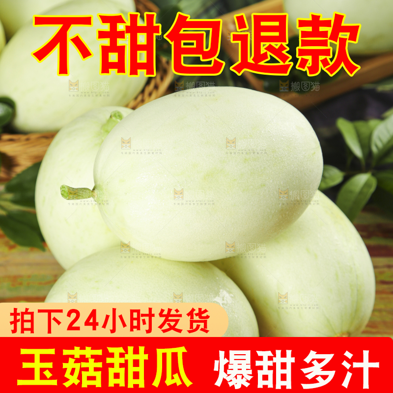 木底上摆放着南汇玉菇甜瓜