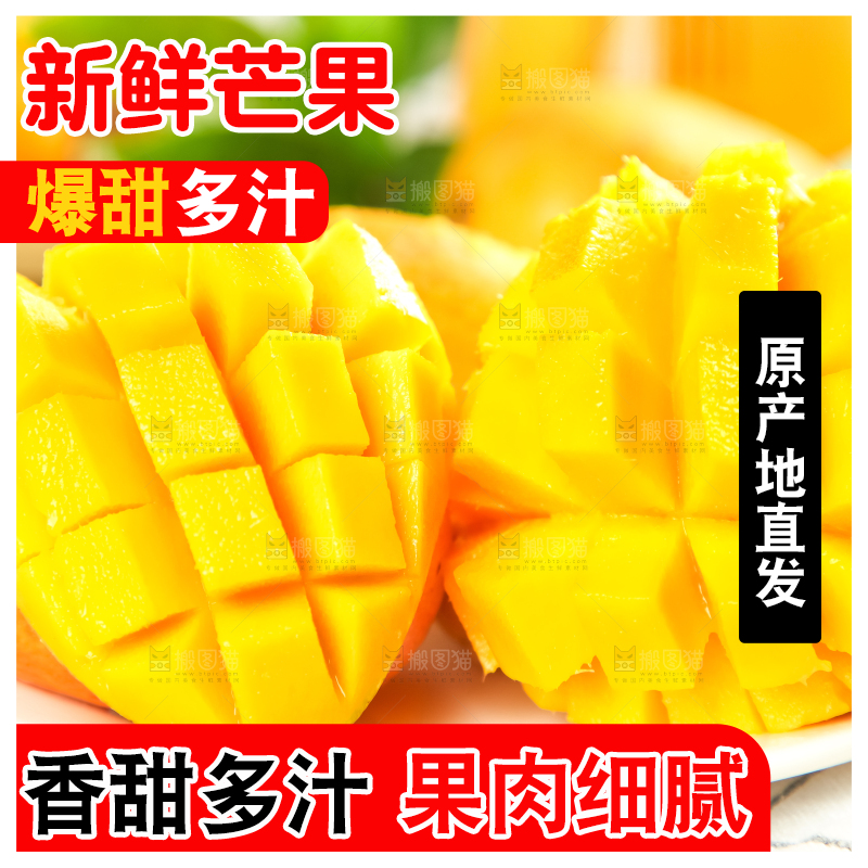 格子底上摆放着小台芒