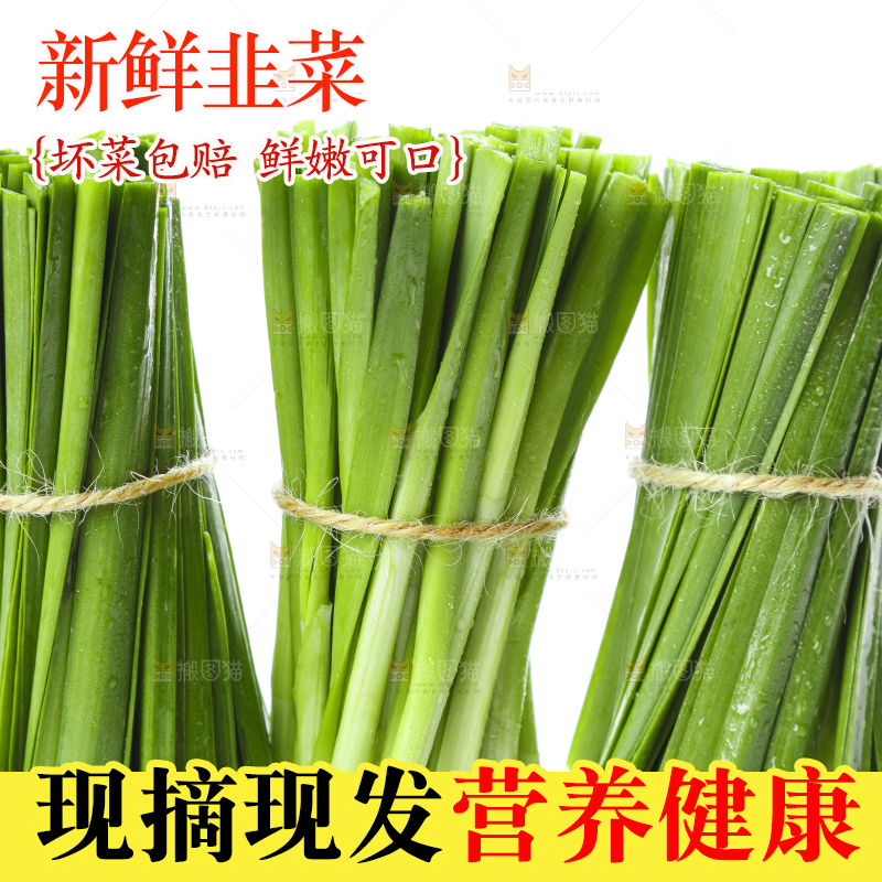 白底上摆放着一把嫩韭菜