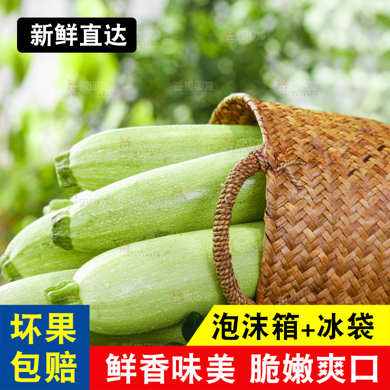 绿草地上摆放着西葫芦