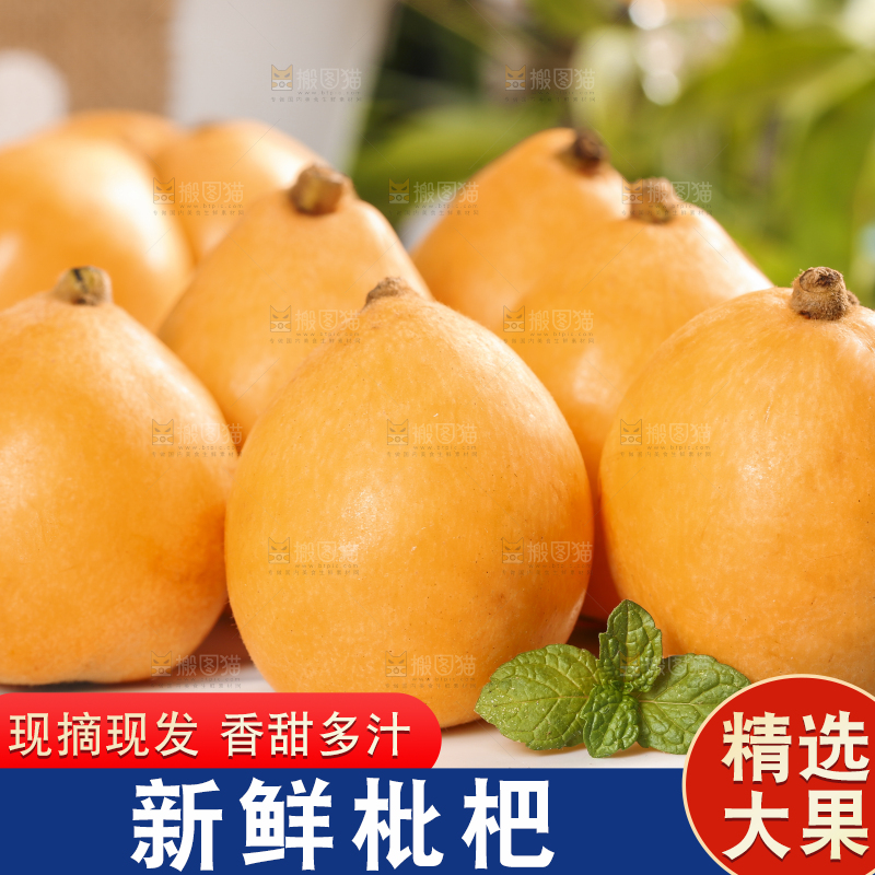 浅底上摆放着蒙自枇杷
