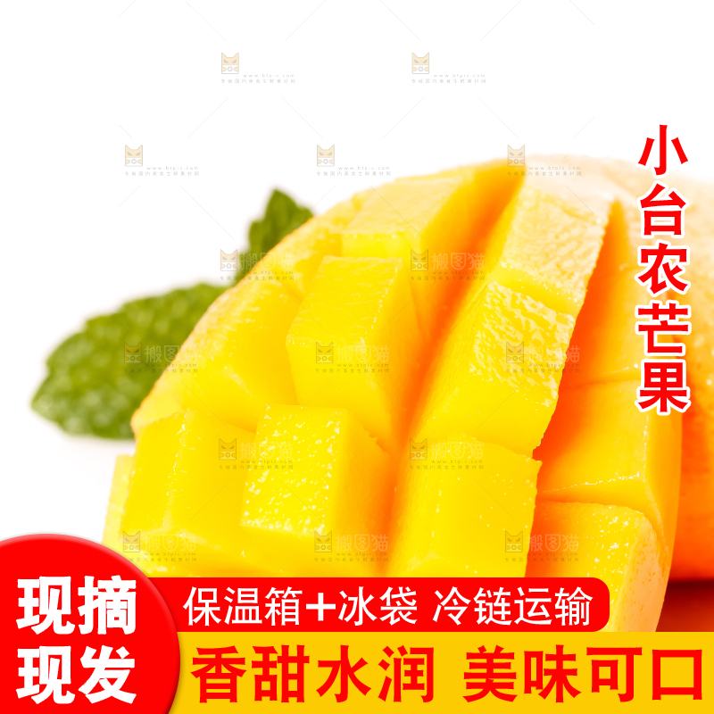 白底上摆放着小台农芒果