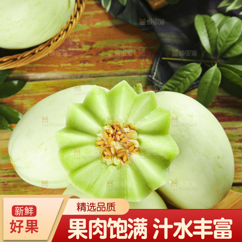 木底上摆放着南汇玉菇甜瓜