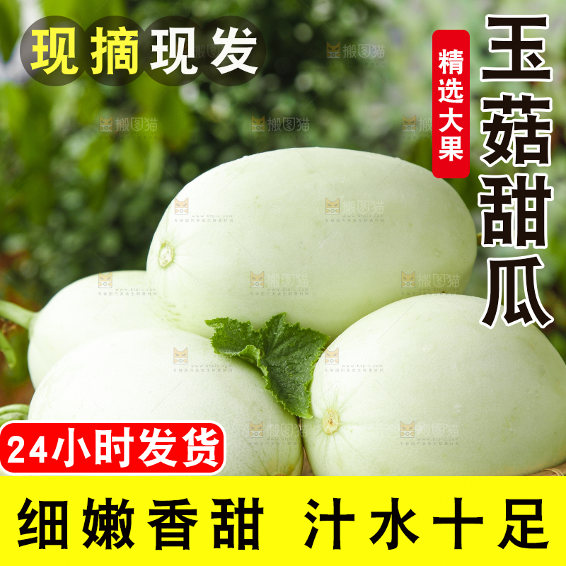 篮子里装着南汇玉菇甜瓜