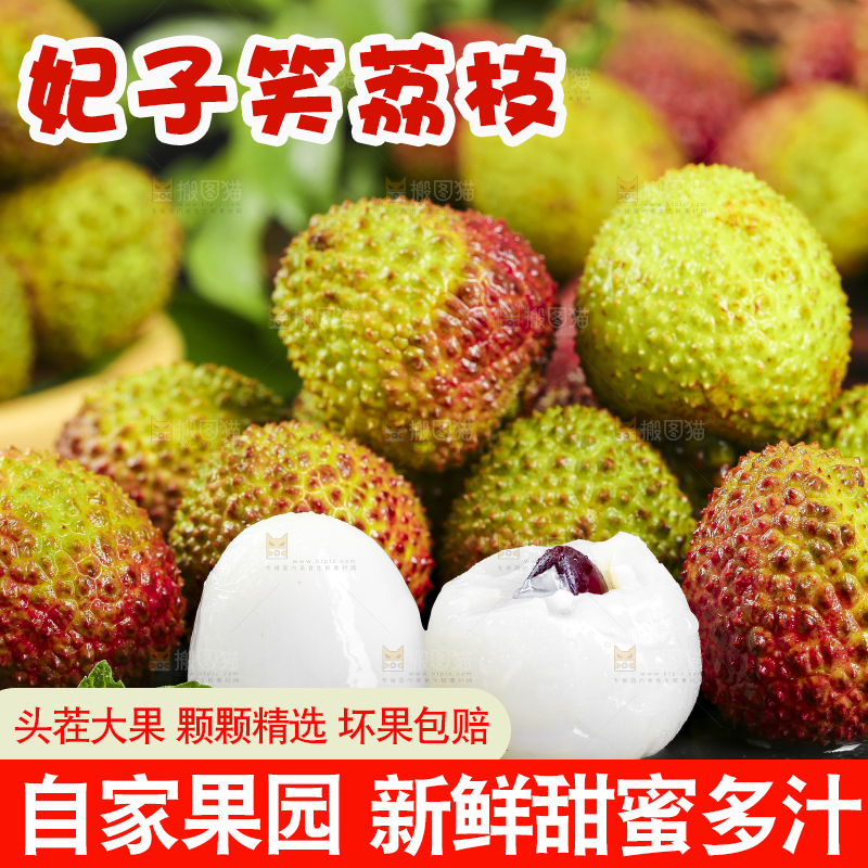 深底上摆放着妃子笑荔枝