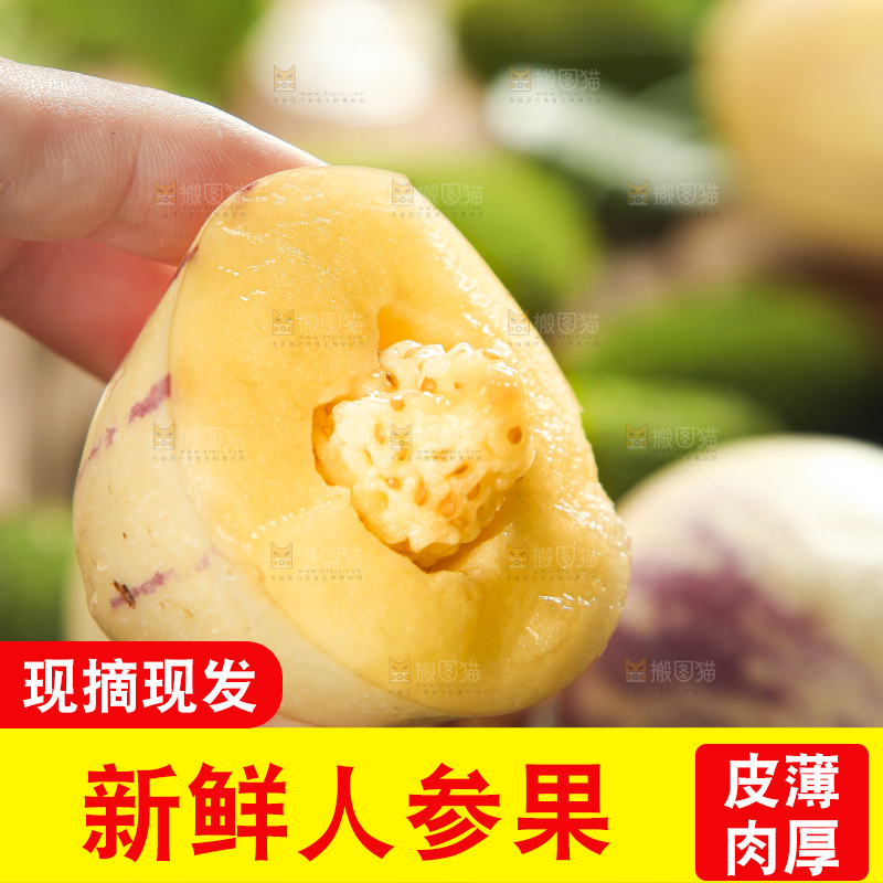 手里拿着人参圆果