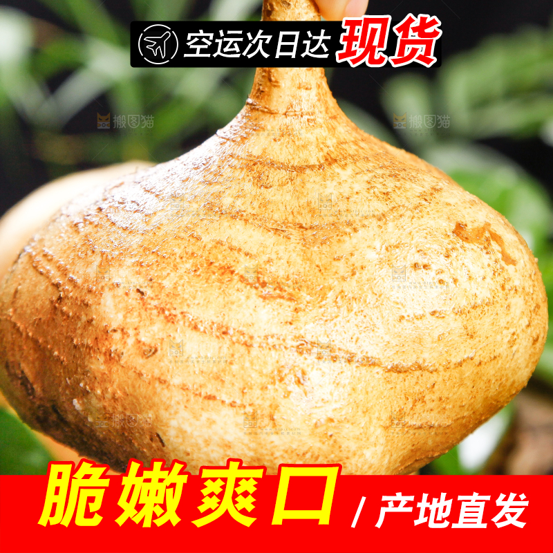 手里拿着地瓜