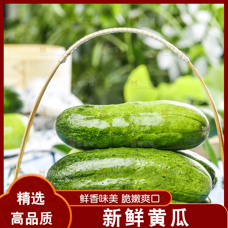 篮子里装着青瓜