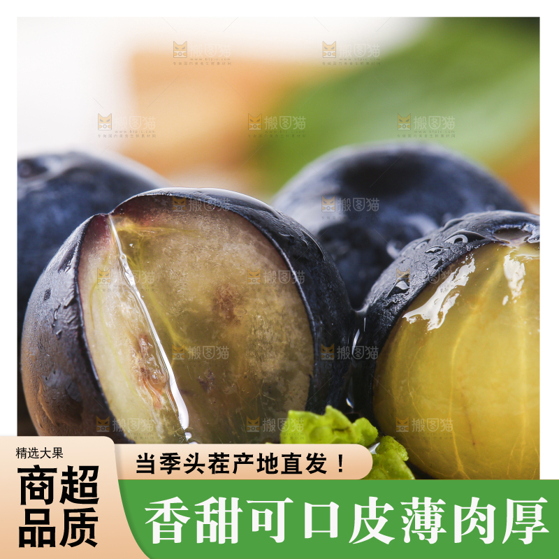 木板上摆放着高山蓝莓