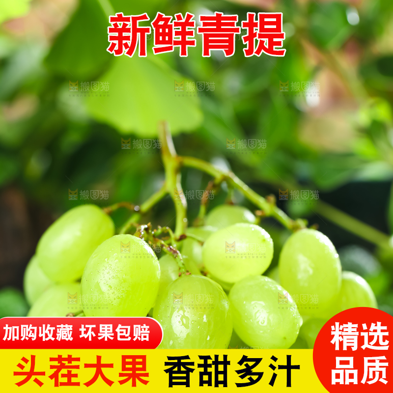 石板上放着澳洲无籽青提