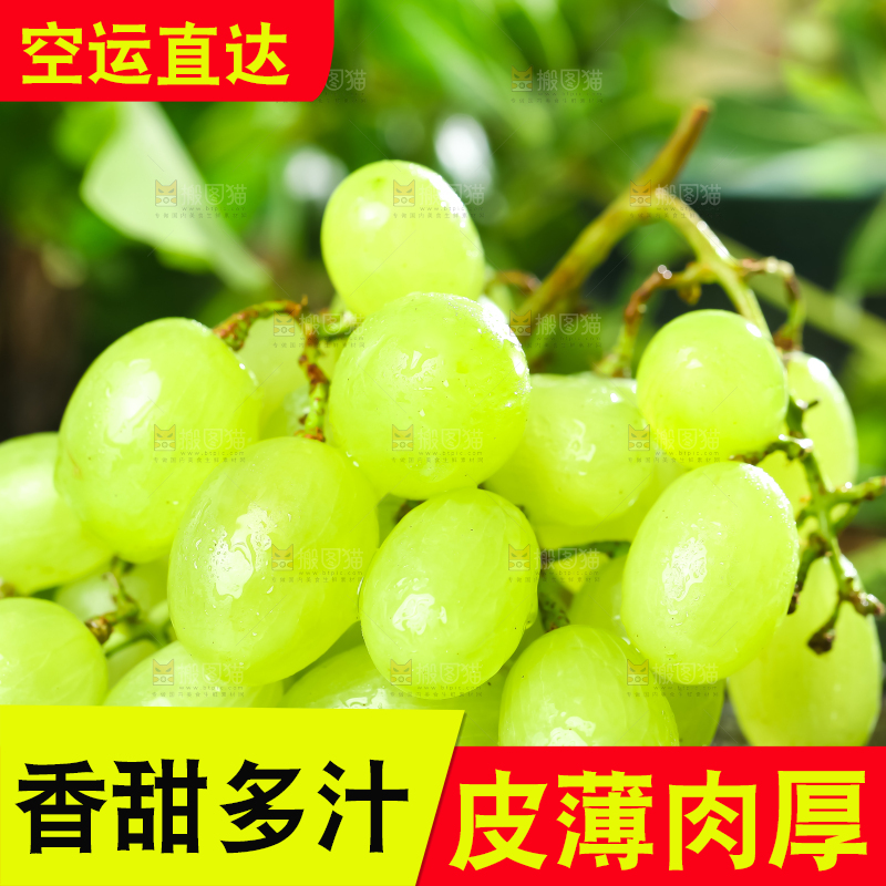 深底上放着云南阳光青提