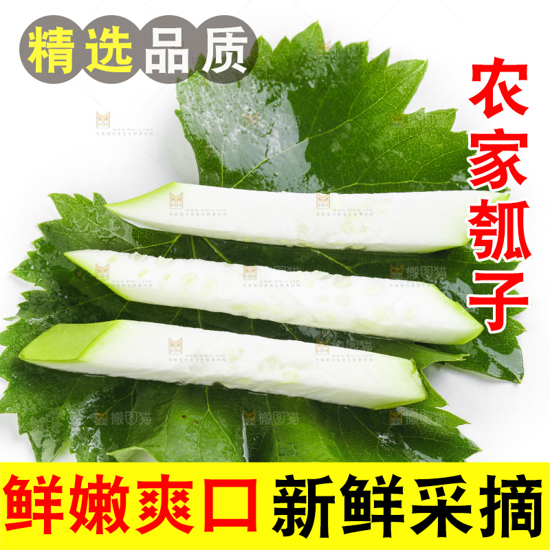 绿叶上放着切丝的蒲瓜