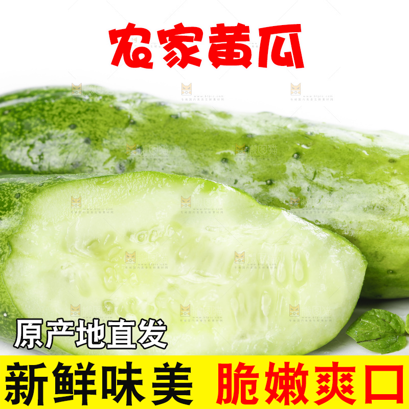 白底上放着刺黄瓜