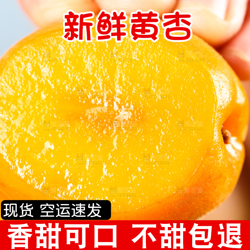 手里拿着黄杏
