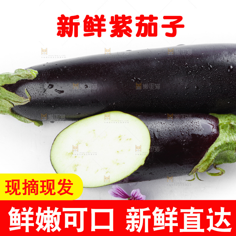 白底上摆放着紫茄子