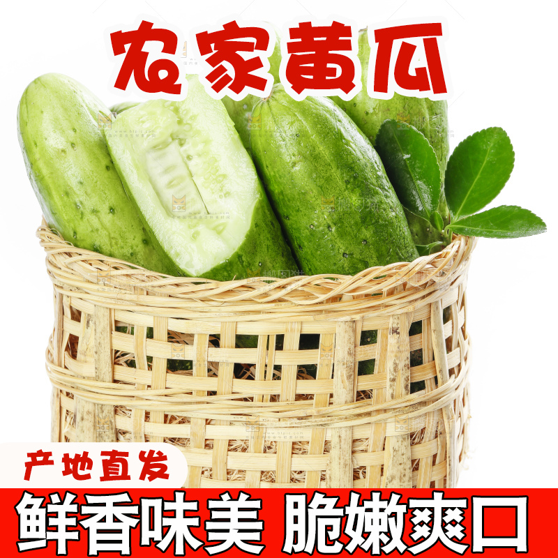 篮子里装着蔬菜黄瓜