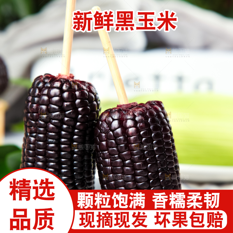 盘子里放着紫黑玉米
