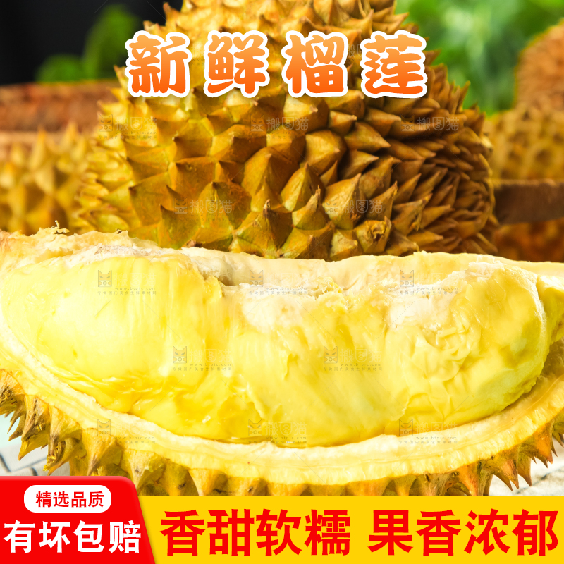 格子底上摆放着金枕头榴莲