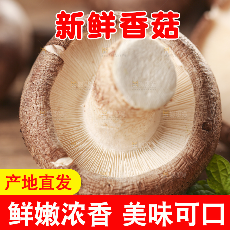 木底上摆放着湖北香菇