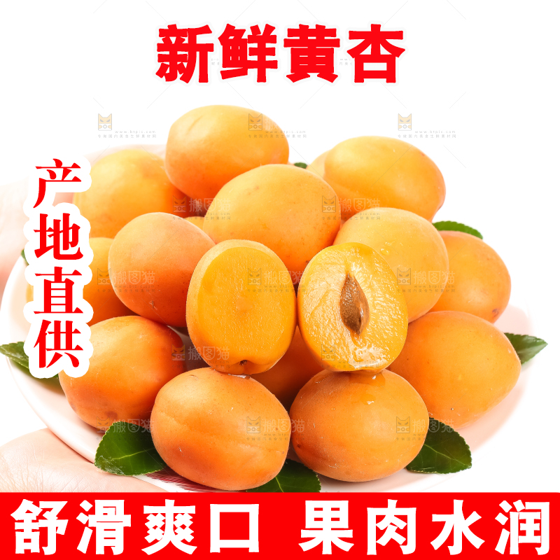白底上摆放着金太阳杏