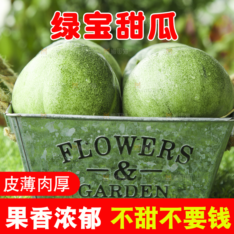 草地上放着绿宝石甜瓜