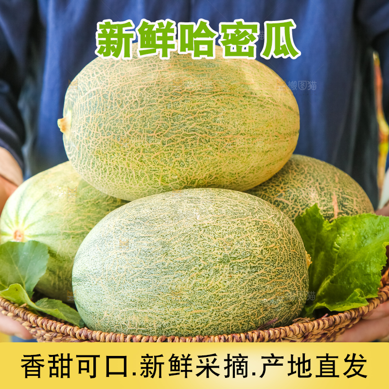 手里端着一篮网纹瓜