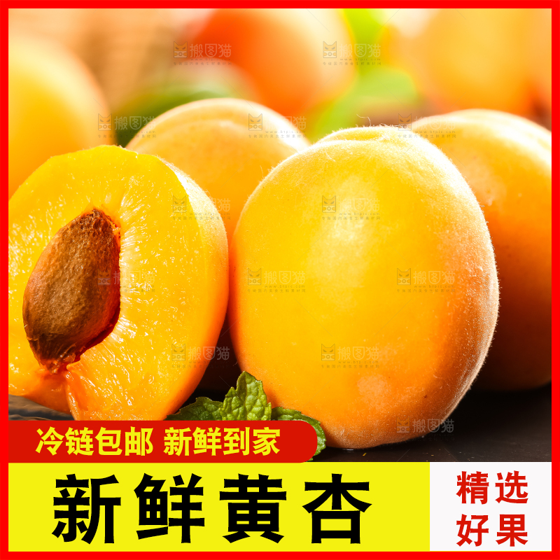 黑底上放着大黄杏