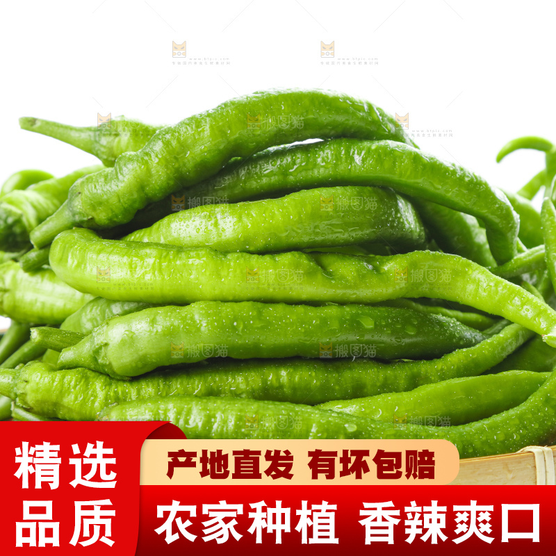 篮子里装着杭椒