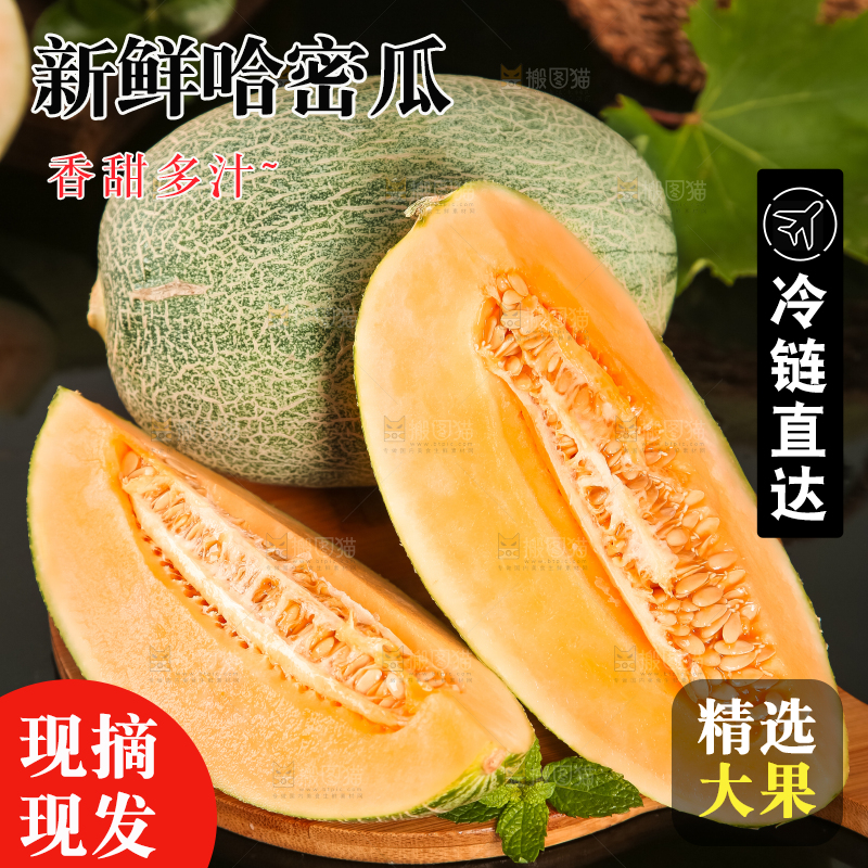 哈密瓜主图