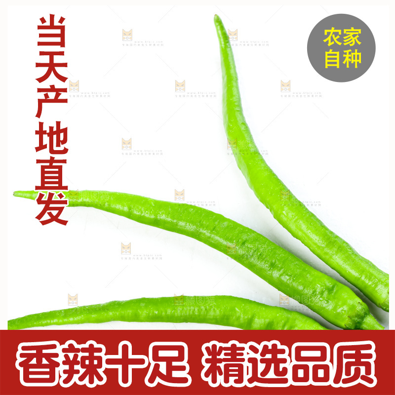 白底上放着青杭椒