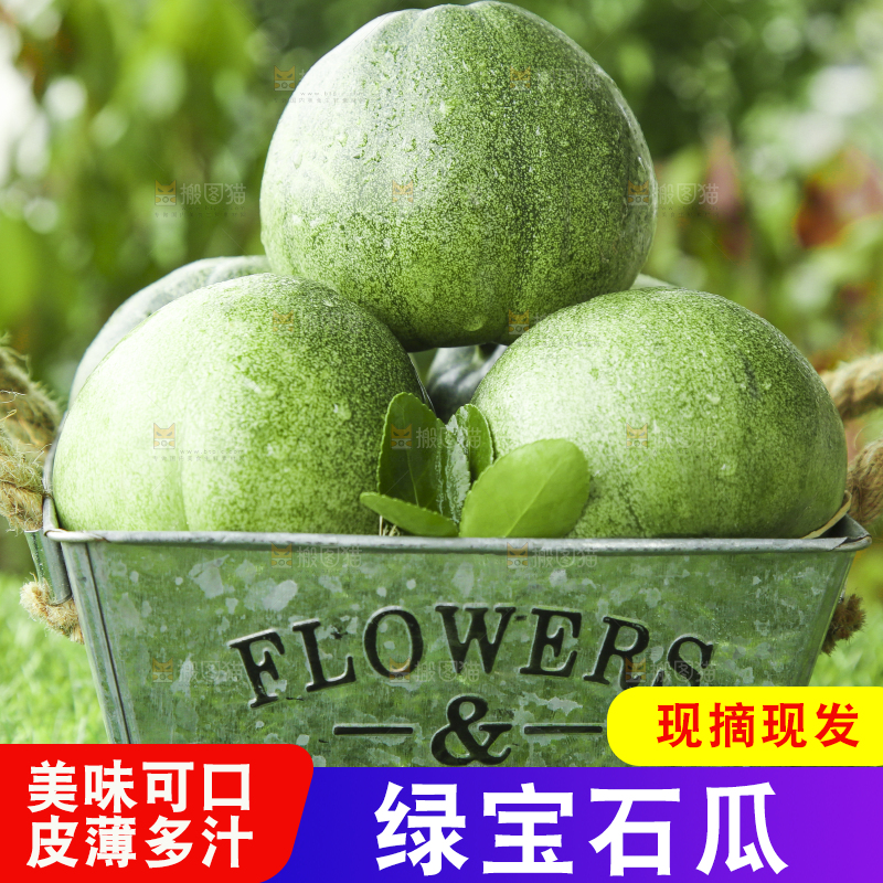 草地上放着绿宝石甜瓜