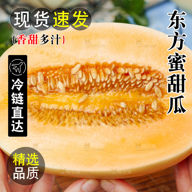 手里拿着白皮蜜瓜