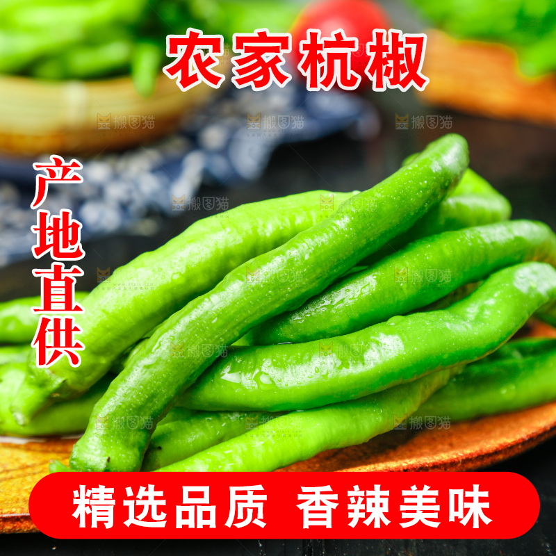 深底上摆放着青尖椒