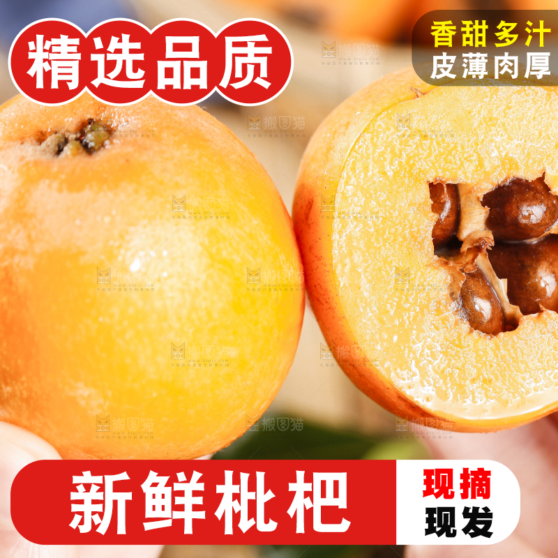 手里拿着高山枇杷