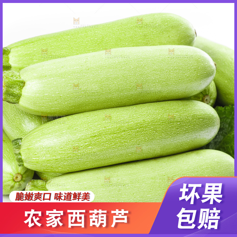 白底上摆放着西葫芦