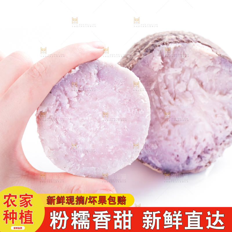 手里拿着紫藤芋头